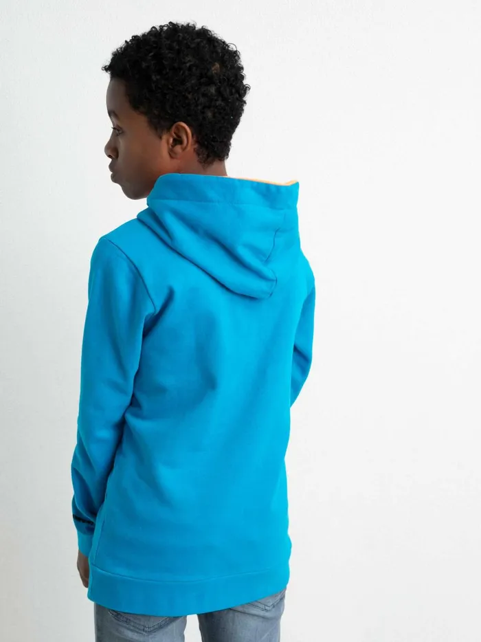 Boys Knits and Sweats Petrol Industries Hoodie With Logo Artwork Bluebird