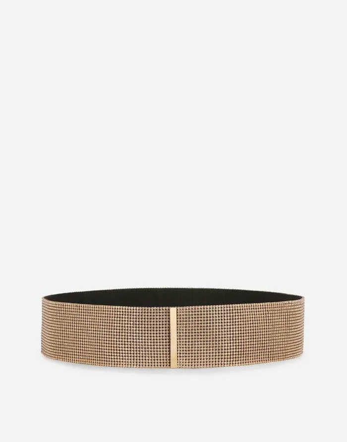 Dolce and Gabbana Belts Women Highwaist Crystal Mesh Belt Gold