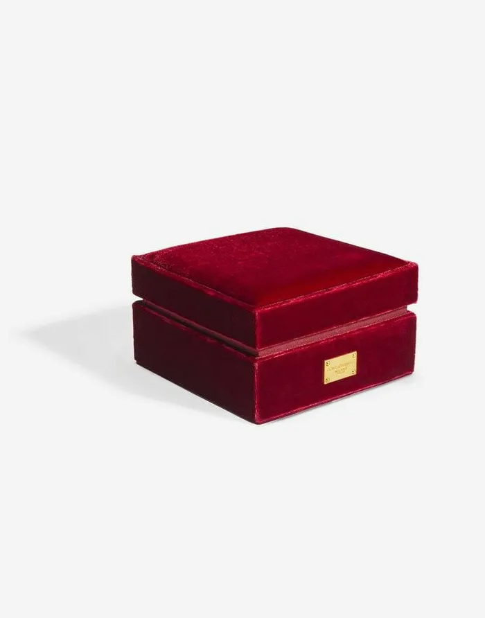 Dolce and Gabbana WatchesandStraps Women Sofia Steel Watch With Colorless Diamonds Bordeaux